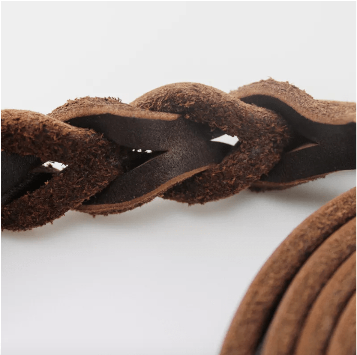 Brown GSD Show Leash for Dogs