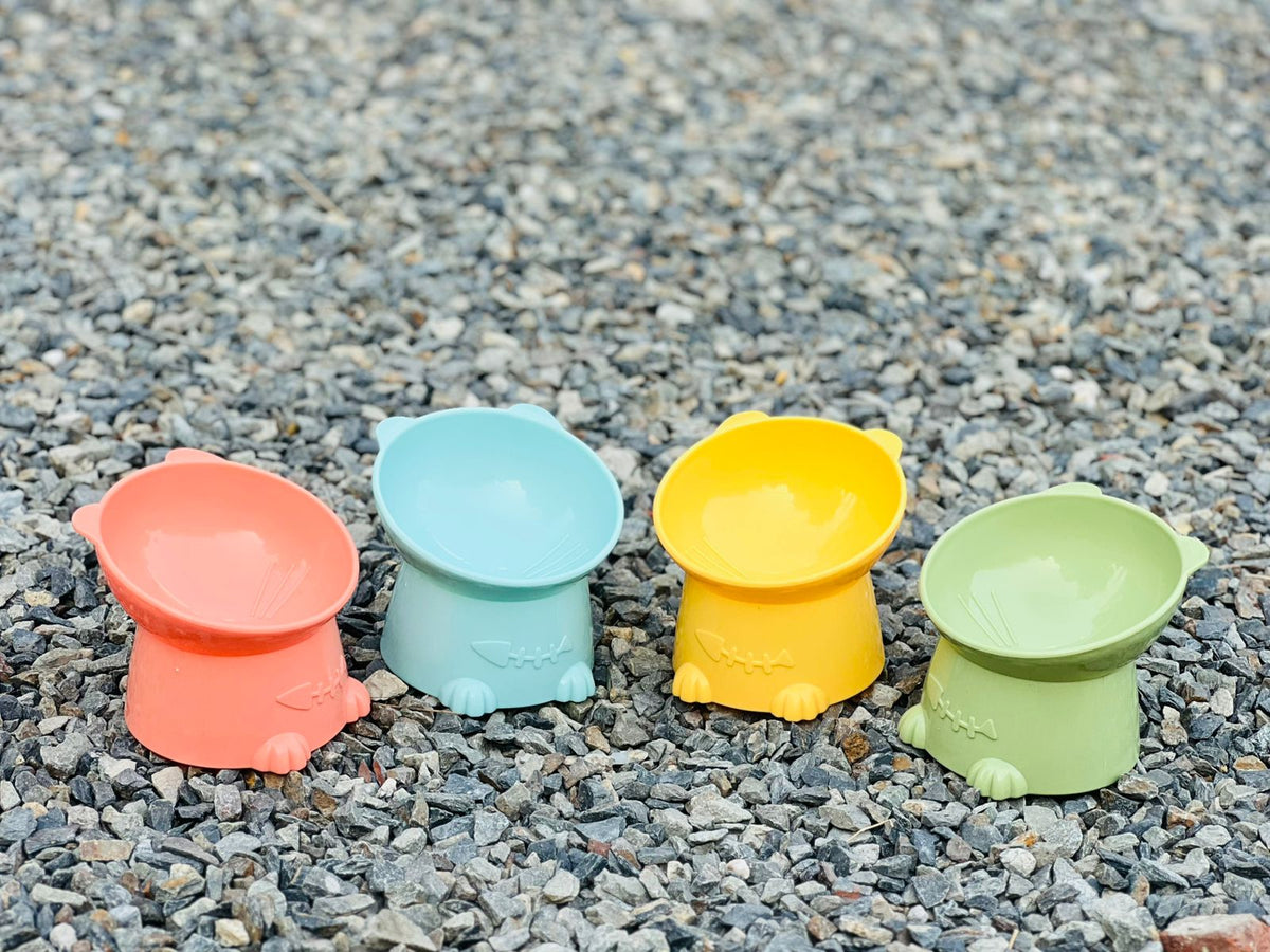 BunnyBee Deep Bowl for Kittens & Cats
