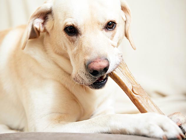 Calcium Chewing Bones Teether for Strong Teeth
