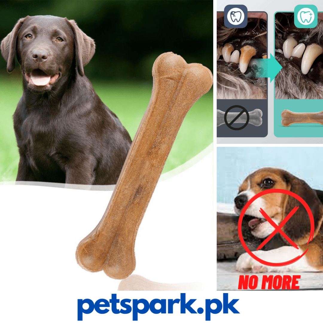 Calcium Chewing Bones Teether for Strong Teeth