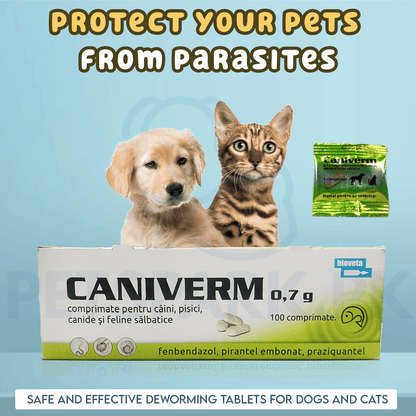Caniverm Deworming Tablets for Cats & Dogs (01 Tablet)