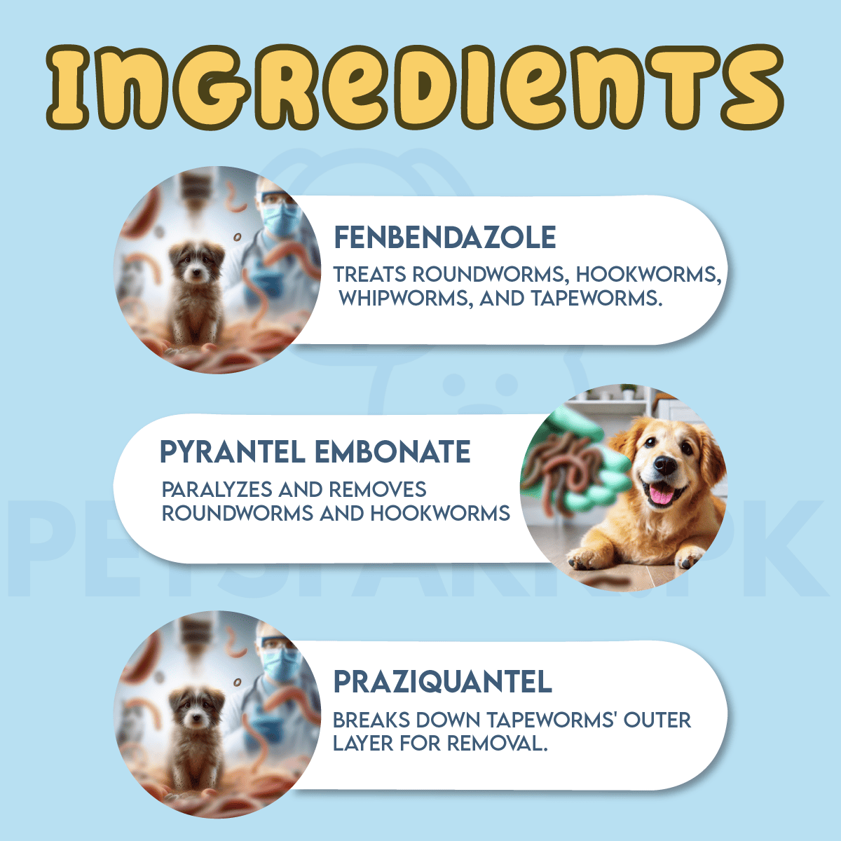 Caniverm Deworming Tablets for Cats & Dogs (01 Tablet)