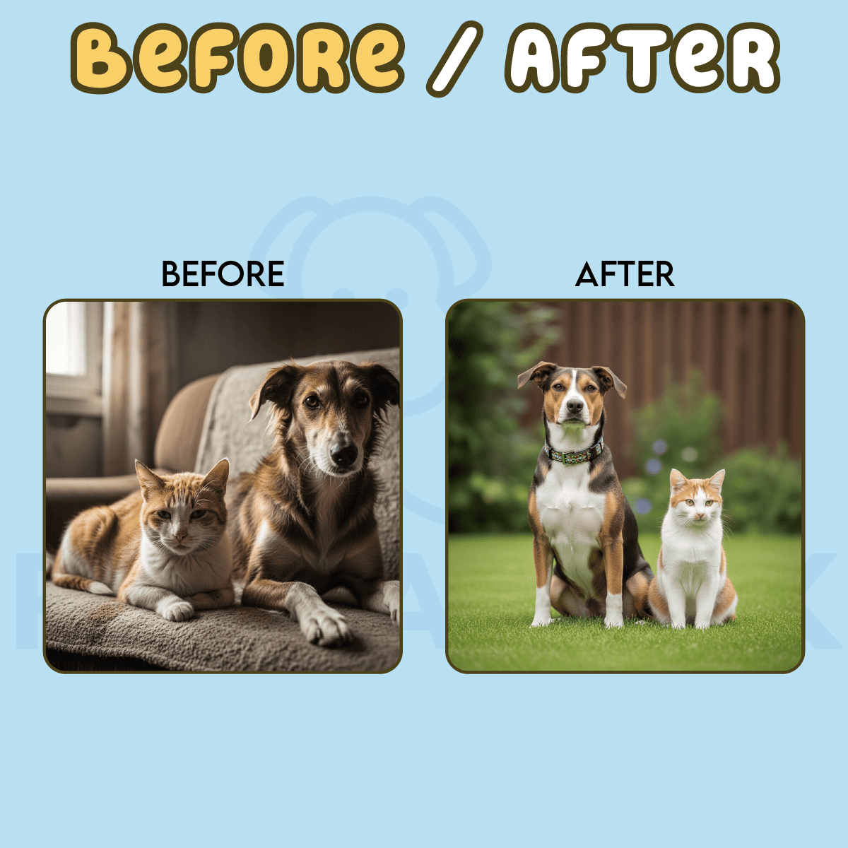 Caniverm Deworming Tablets for Cats & Dogs (01 Tablet)