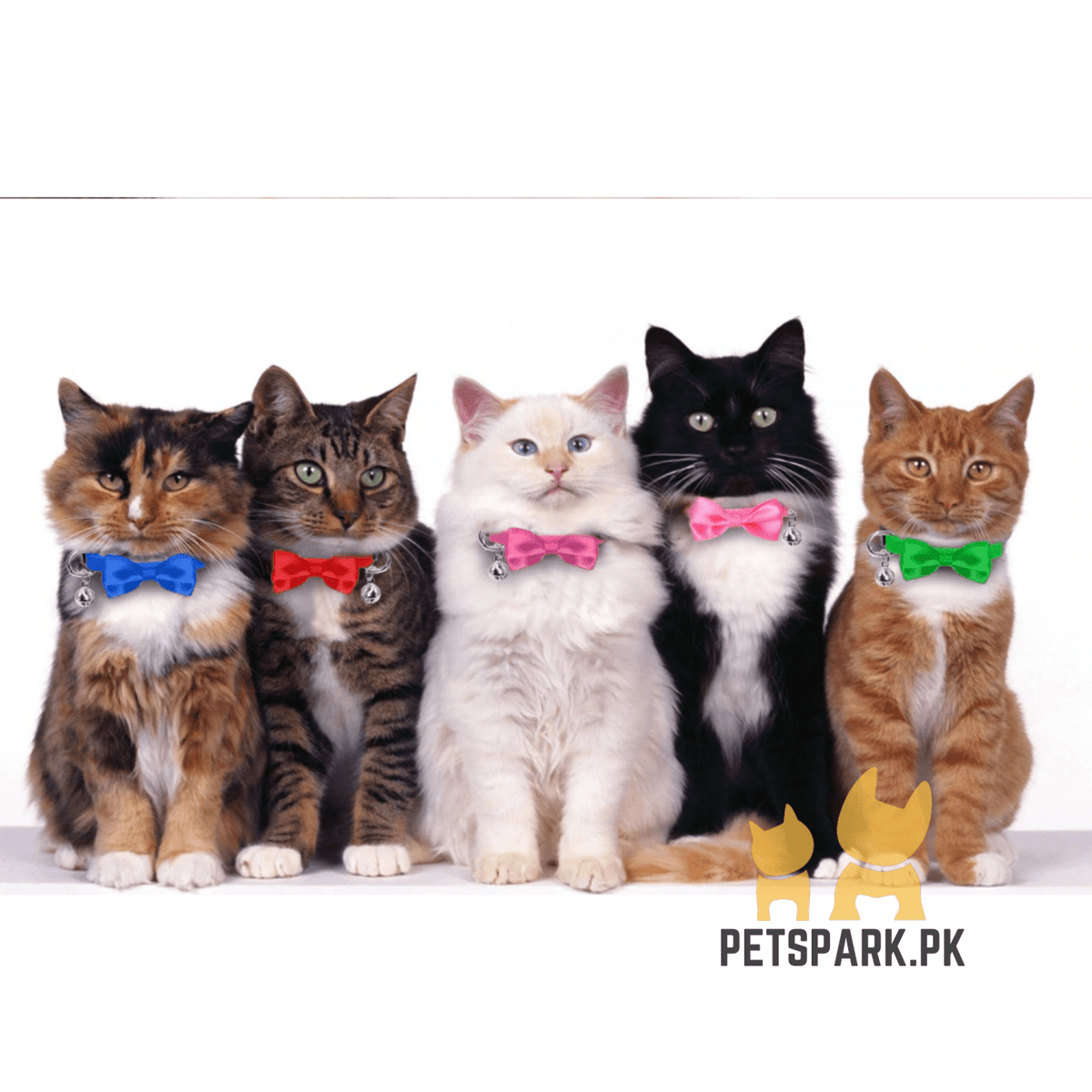 Cat Bow Collars with Bell Adjustable For Cats
