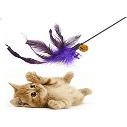 Cat Colourful Playing Stick