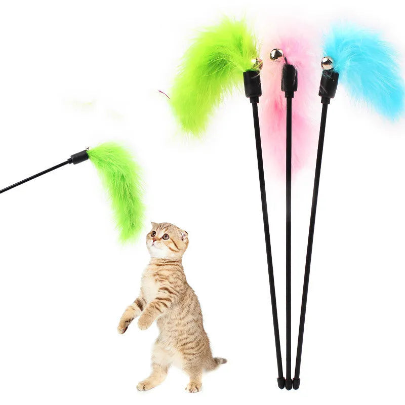 Cat Colourful Playing Stick