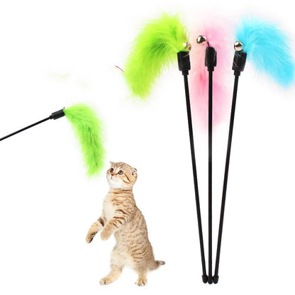 Cat Colourful Playing Stick