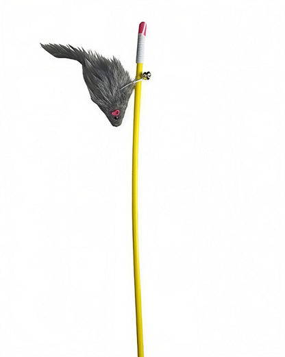 Cat Colourful Playing Stick