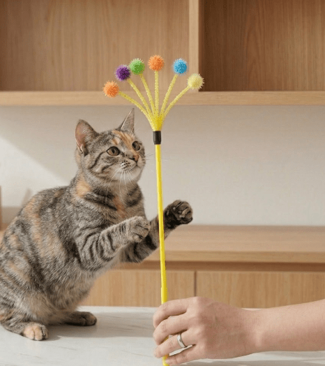 Cat Colourful Playing Stick