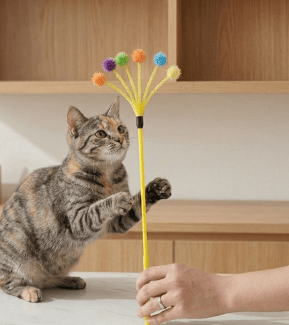 Cat Colourful Playing Stick