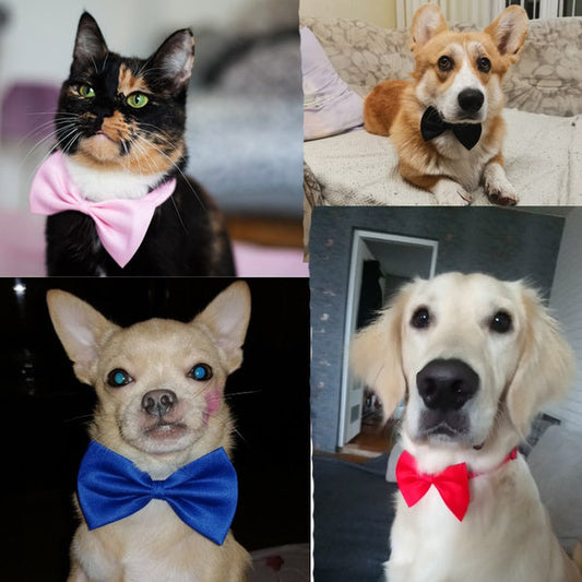 Bows for Cats and Small Puppies/Dogs