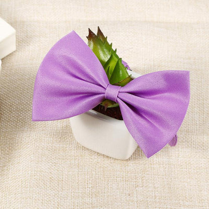 Bows for Cats and Small Puppies/Dogs