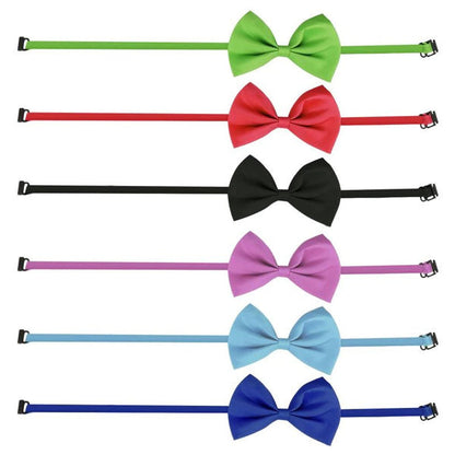 Bows for Cats and Small Puppies/Dogs