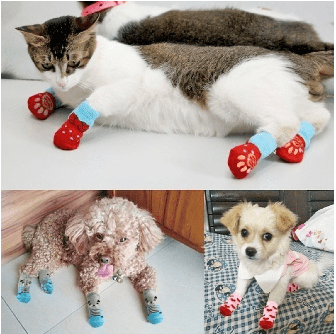 Cat/Dog Sock Set