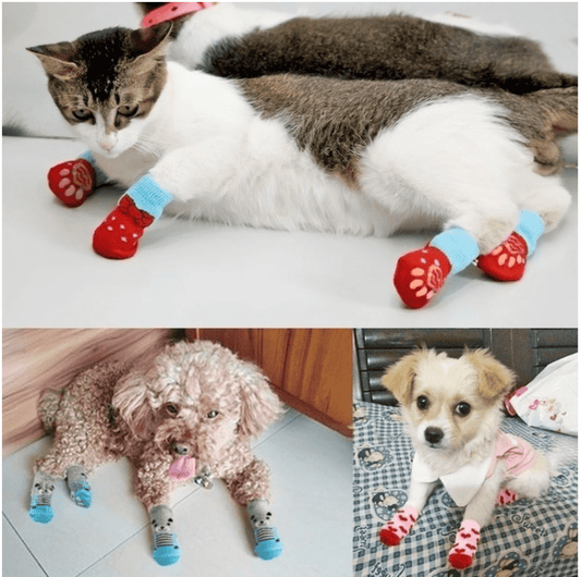 Cat/Dog Sock Set