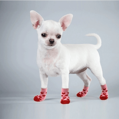 Cat/Dog Sock Set