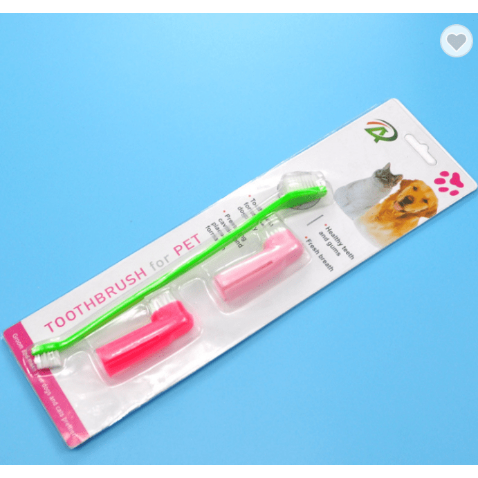 Cat Dog Toothbrush