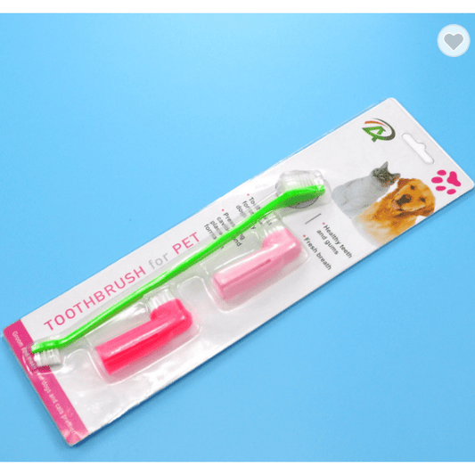 Cat Dog Toothbrush