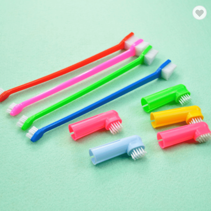 Cat Dog Toothbrush