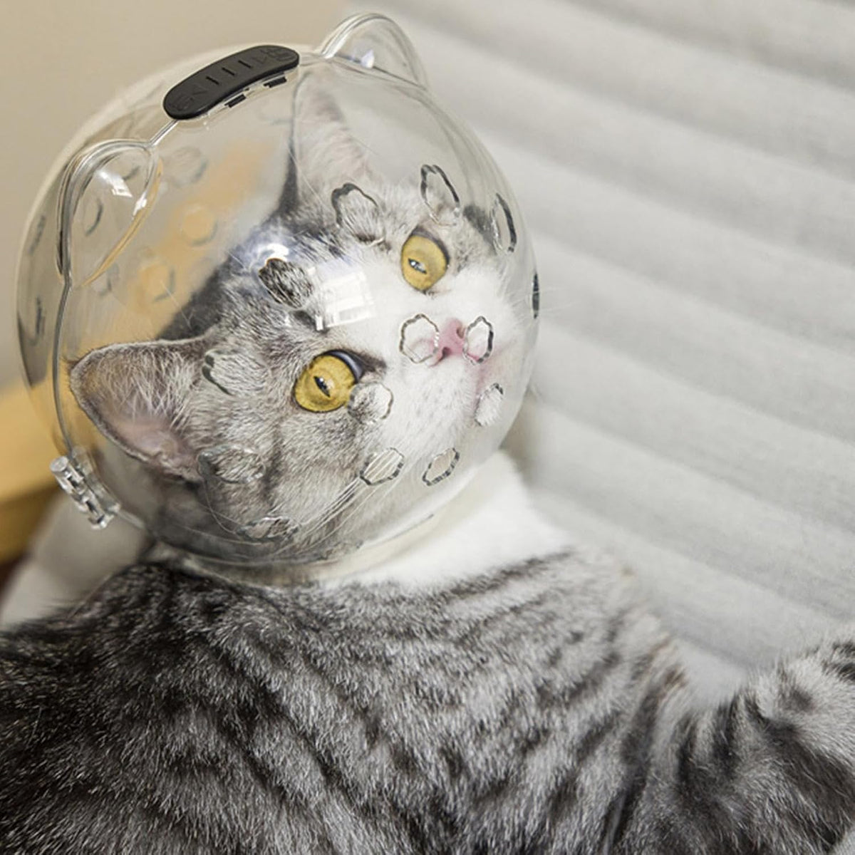 Cat Face Mask For Grooming Large (6.30 x 5.12)