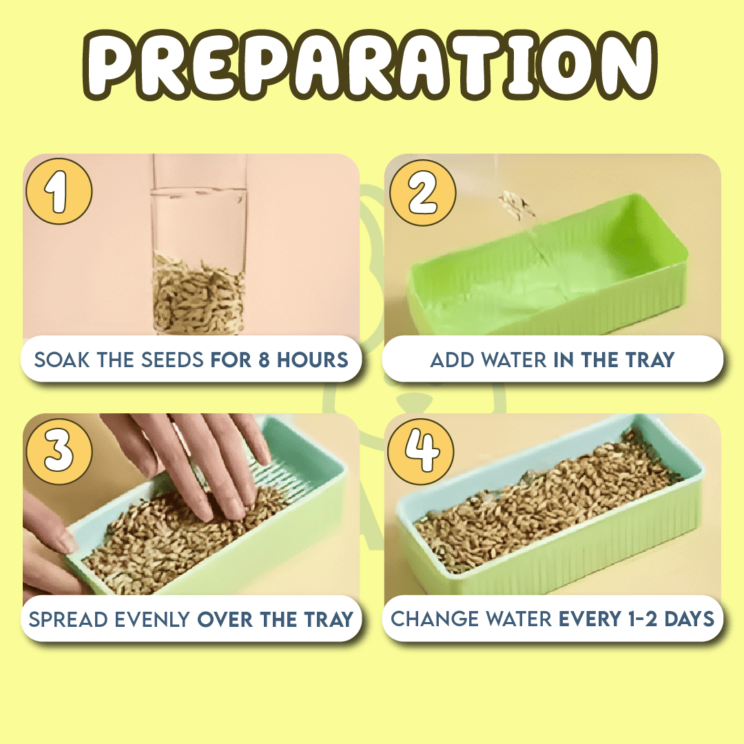 Cat Grass Growing Kit (With Free Seeds)
