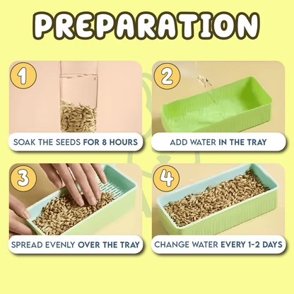 Cat Grass Growing Kit (With Free Seeds)