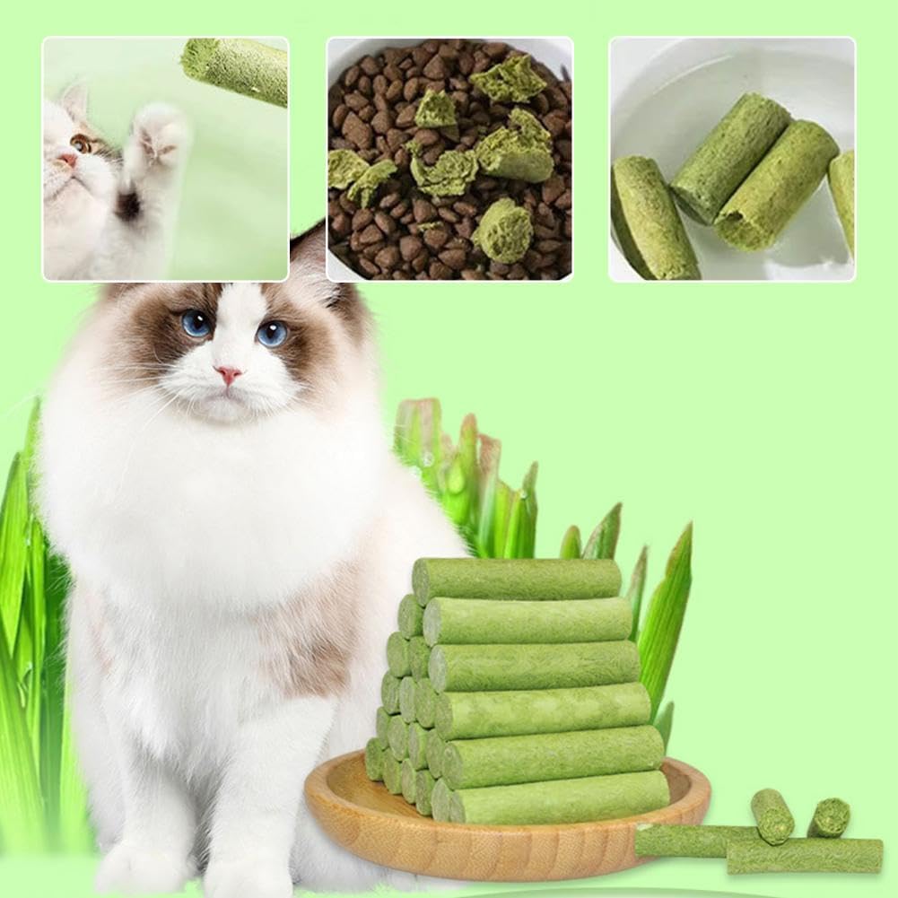 Cat Grass Teething Sticks for Hairballs  & Constipation (6 Sticks Pack)