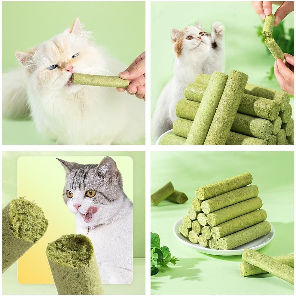 Cat Grass Teething Sticks for Hairballs  & Constipation (6 Sticks Pack)