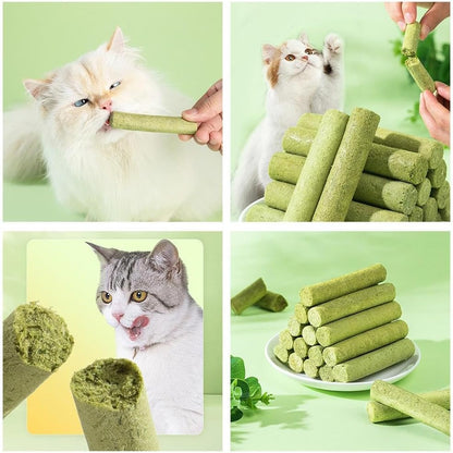 Cat Grass Teething Sticks for Hairballs  & Constipation (6 Sticks Pack)