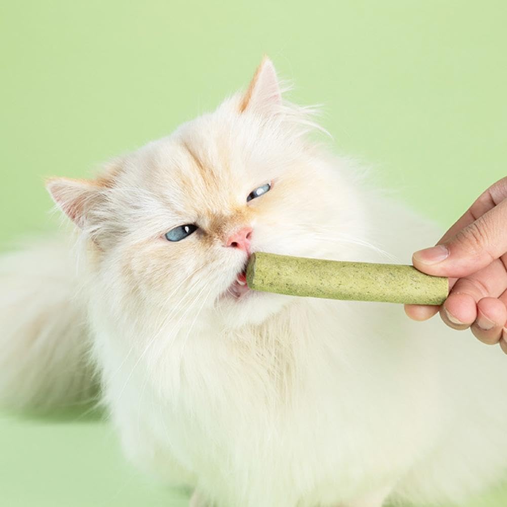 Cat Grass Teething Sticks for Hairballs  & Constipation (6 Sticks Pack)