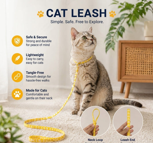 Cat Harness Paw Print
