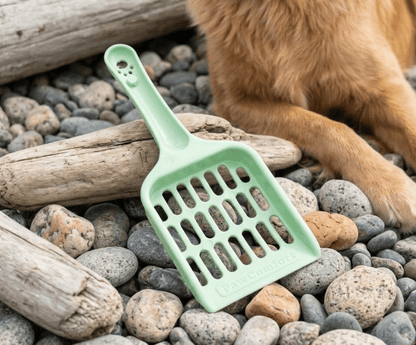 Cat Litter Scoop
