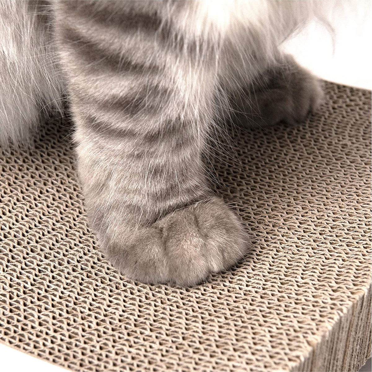 Cat Scratching Board Large Bed Type