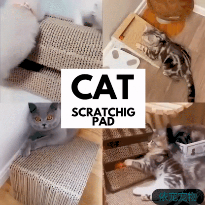 Cat Scratching Board Large Bed Type