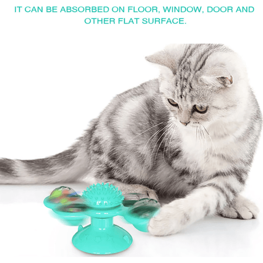 Cat Spinner Toy