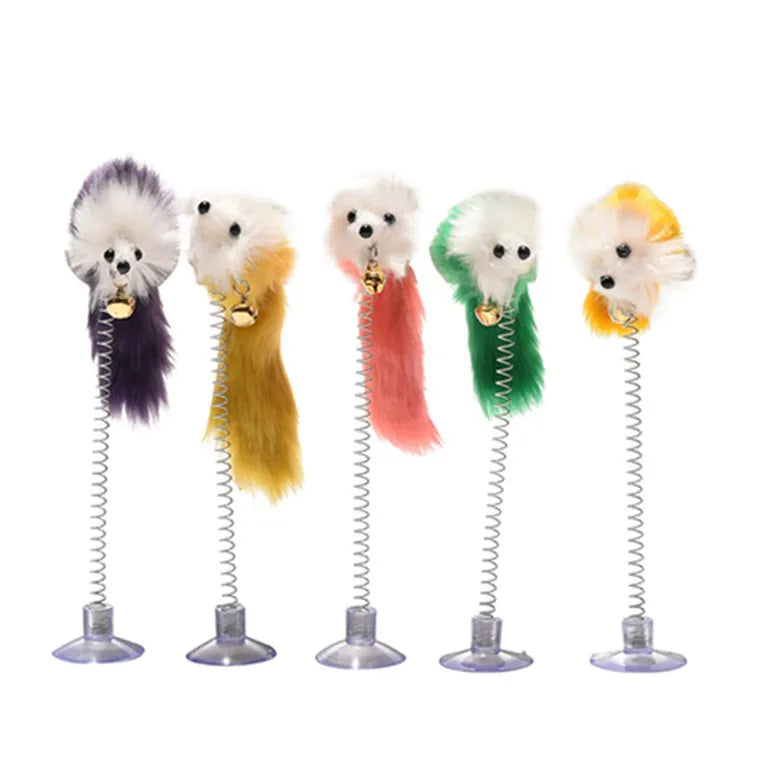 Cat Suction Spring Toy (01 Piece)