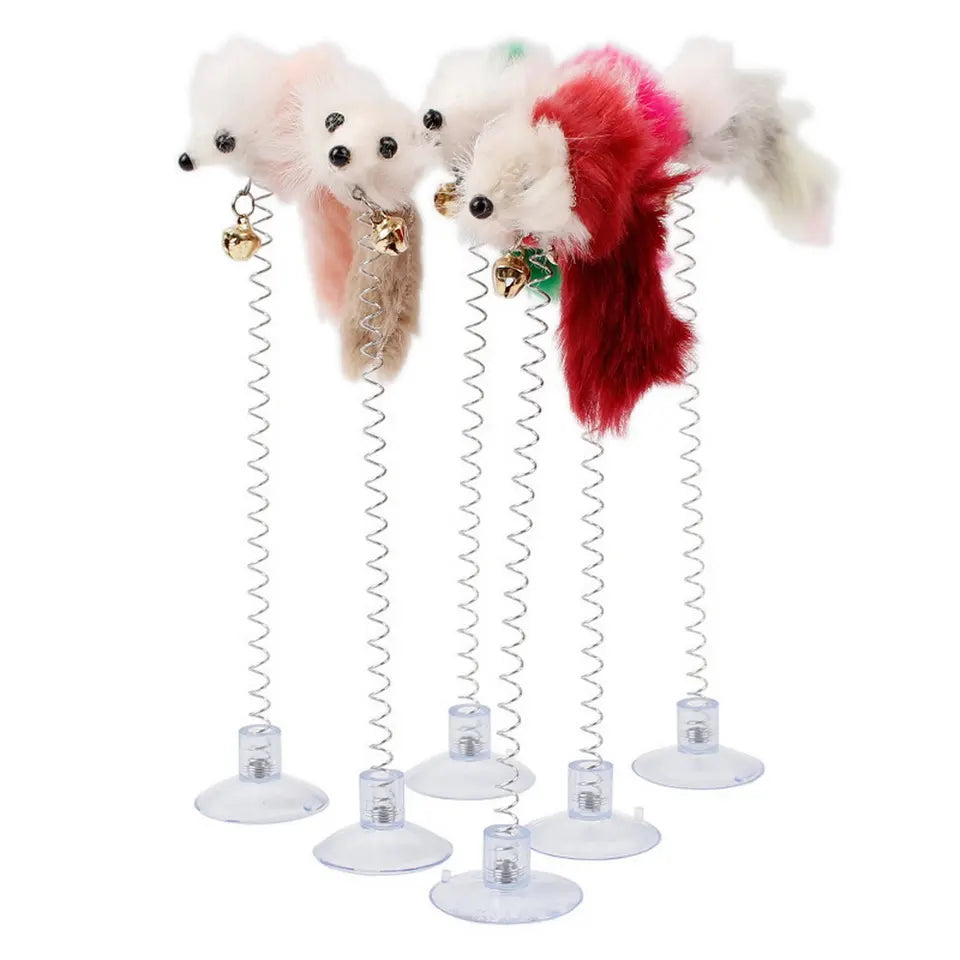 Cat Suction Spring Toy (01 Piece)