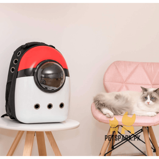 Cat Travel Backpack Colorful