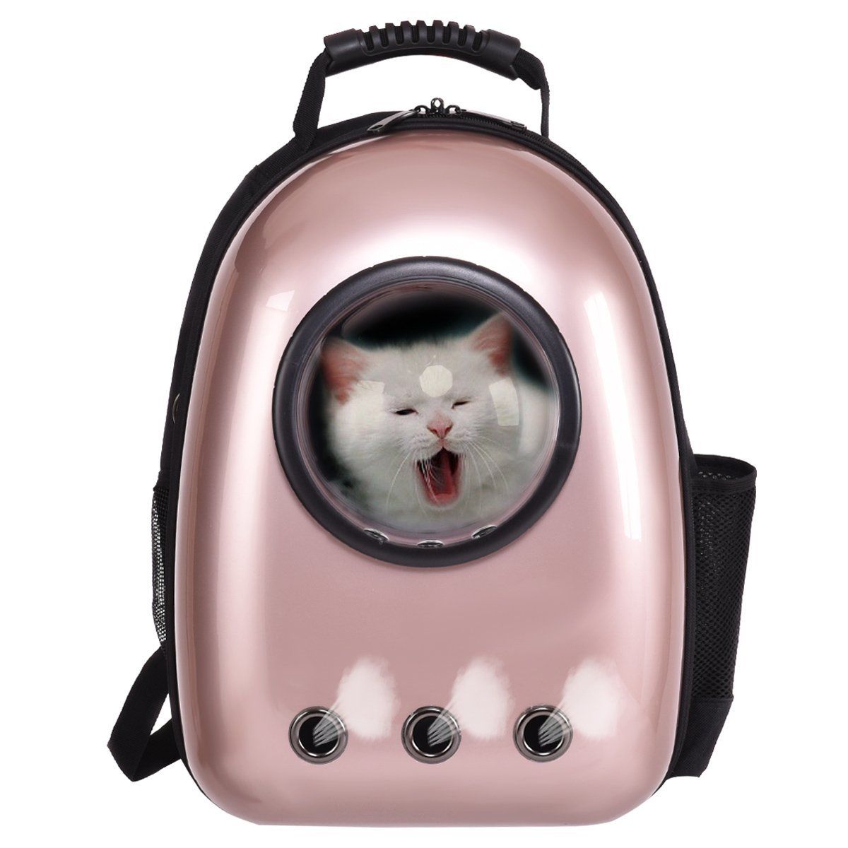 Cat Travel Backpack Colorful