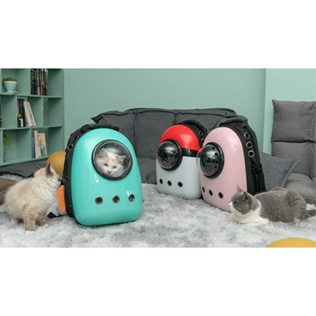 Cat Travel Backpack Colorful