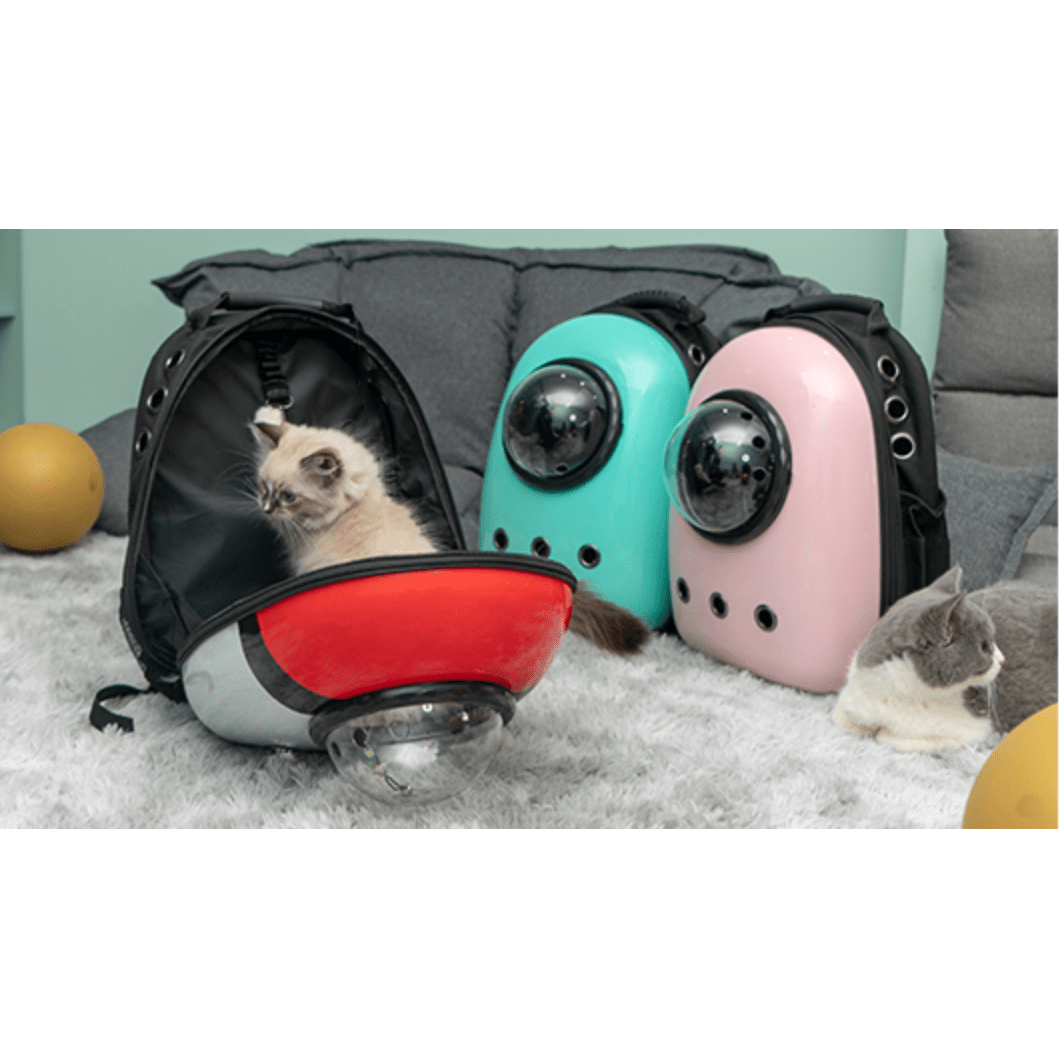 Cat Travel Backpack Colorful