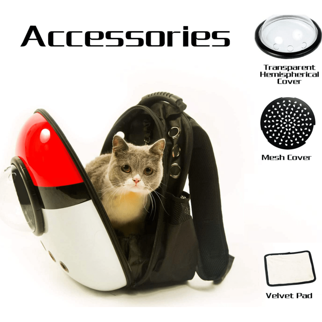 Cat Travel Backpack Colorful