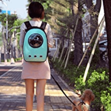 Cat Travel Backpack Colorful