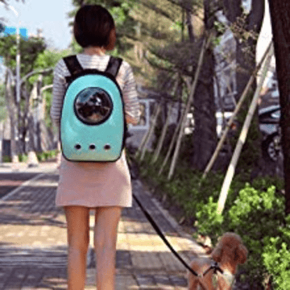 Cat Travel Backpack Colorful