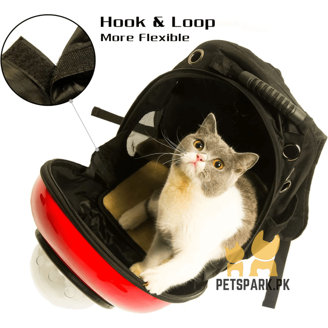 Cat Travel Backpack Colorful