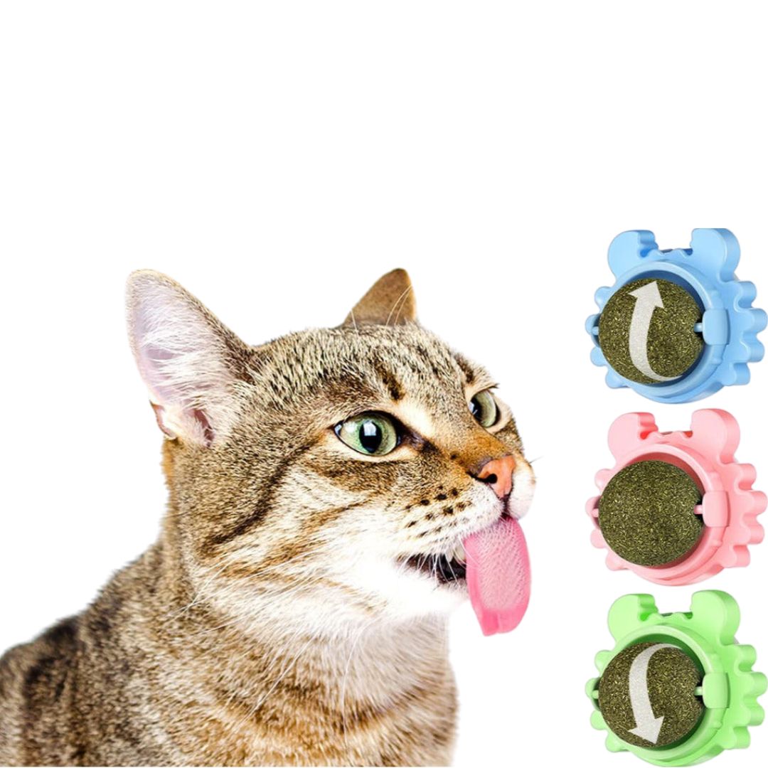Catnip Lollipop for Cats