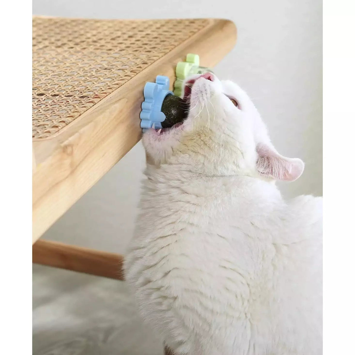 Catnip Lollipop for Cats