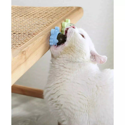 Catnip Lollipop for Cats