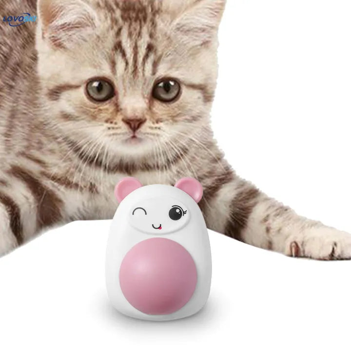 Catnip Lollipop for Cats