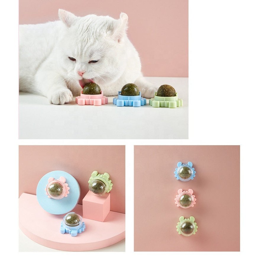 Catnip Lollipop for Cats